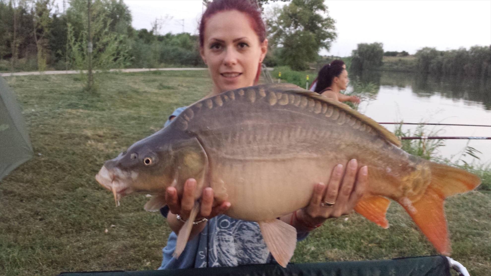 Hermes Peris 12 - 13 august 2015 - 20150812203711.jpg